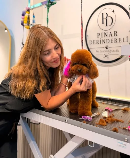 Pınar Derindereli bakım masasında bir poodle ile